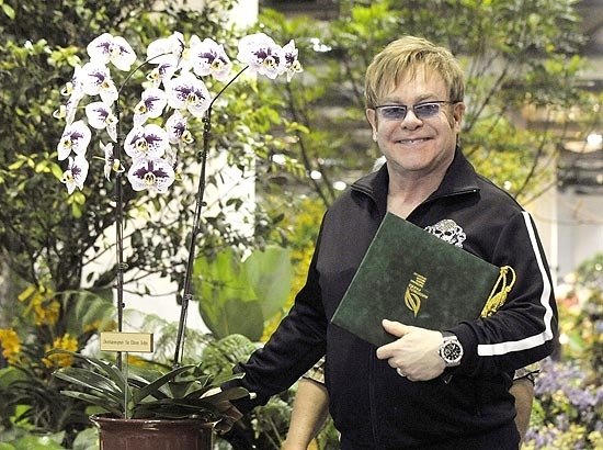 O cantor Elton John, que revelou ter gasto parte de sua vida com o consumo de lcool e drogas