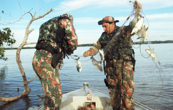 Pesca predatria pode ser proibida em at cinco anos, conforme projeto de lei  Foto: Secom-MT