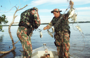 Pesca predatria pode ser proibida em at cinco anos, conforme projeto de lei  Foto: Secom-MT