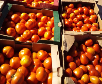 Nesta semana, o tomate e a batata foram os principais itens a influenciar na queda do preo