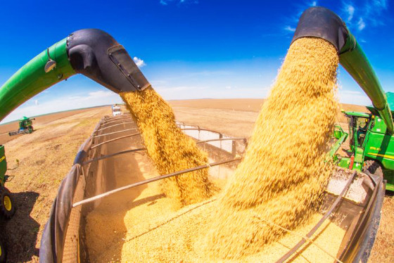 Com a safra recorde de gros de 100 milhes de tonelada, setor da agropecuria surge como o maior empregador do Estado