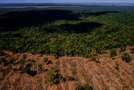A rea de floresta derrubada no perodo foi de 7.952 km, o menor valor desde o intervalo 2018-2019