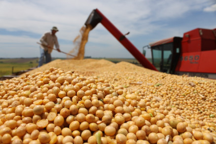 Sozinho, Mato Grosso  que est com a safra de soja consolidada desde abril  movimentou 930 mil toneladas