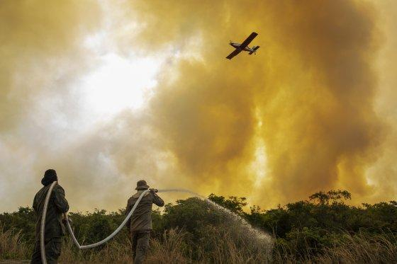 No Pantanal, estados j superaram emisses do perodo de janeiro ao comeo de setembro dos 21 anos anteriores