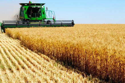 Lavoura da soja em fazenda em Mato Grosso