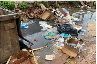 Com a chegada do perodo chuvoso, o risco de proliferao do vetor aumenta, exigindo ateno redobrada nas residncias e espaos pblicos