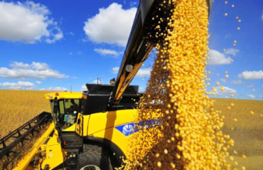 Em relao  produtividade, o instituto revisou a estimativa em maio, elevando-a para 114,54 sacas por hectare