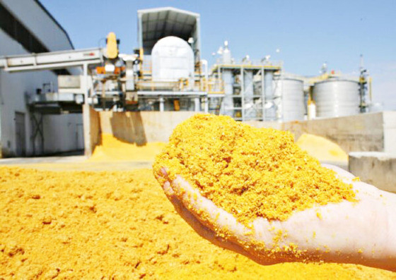 A expanso desse mercado representa uma reconfigurao estrutural no destino do milho no Brasil