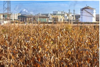Plantao de milho e, ao fundo, biorrefinaria de etanol de milho em Primavera do Leste