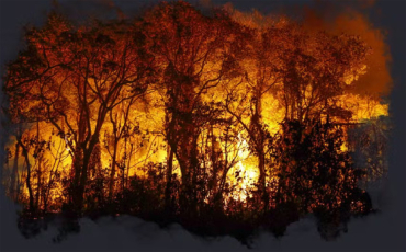 Mato Grosso tem expressiva reduo nas reas atingidas por queimadas neste ano, com destaque para o ms de agosto passado