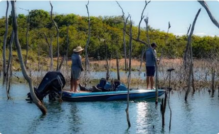 Pescadores praticam pesca e solte no Lago do Manso em Mato Grosso  Foto: Reproduo/Instagram