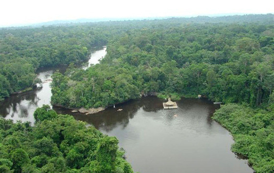 Parque Estadual do Cristalino possui uma profuso de nascentes de guas puras e tambm uma variedade de espcies da flora e da fauna de grande porte