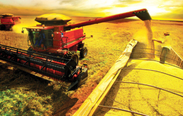 Lavoura de soja em Lucas do Rio Verde, polo agr�cola no Norte de Mato Grosso.