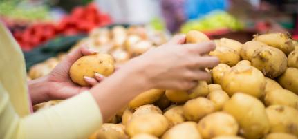 A batata, pela segunda semana consecutiva, apresentou aumento de 9,41%, alcan�ando a m�dia de R$ 4,52/kg