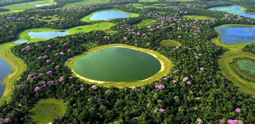 Parque Nacional do Pantanal, em Mato Grosso