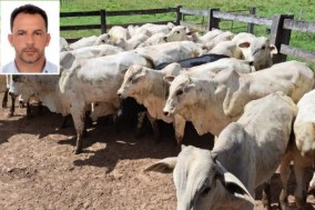 O vereador Wender Greg�rio de Lima (no detalhe) e a imagem dos animais que foram levados de fazenda