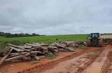 Fazendeiro � multado por armazenar ilegalmente lascas de ita�ba em MT � Foto: Sema-MT