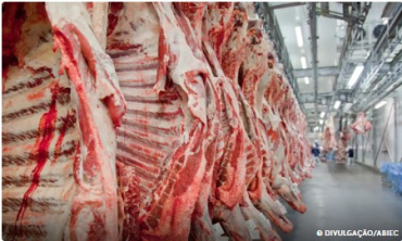 Mato Grosso garante 13% da carne bovina consumida no Brasil