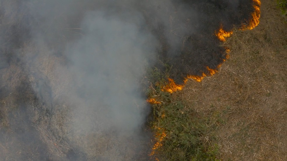 Em Mato Grosso e na maior parte da Amaz�nia, Cerrado e Pantanal, a maioria dos inc�ndios ocorrem em pastagens