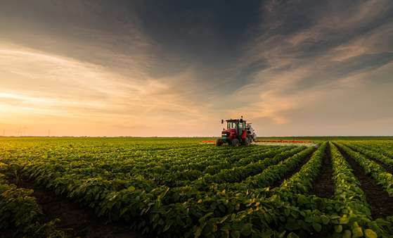 Produtores avaliam lavoura de soja em Mato Grosso; com menor participa��o das fontes federais no custeio, cresce o peso das linhas privadas e dos recursos pr�prios no financiamento da safra