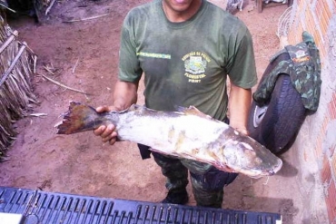 Durante a piracema, fica proibida qualquer atividade de pesca profissional, inclusive o uso de redes 