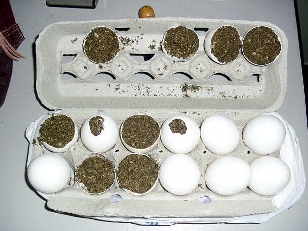 Ao revistar a encomenda, o carcereiro estranhou a leveza dos ovos e resolveu quebrar um deles