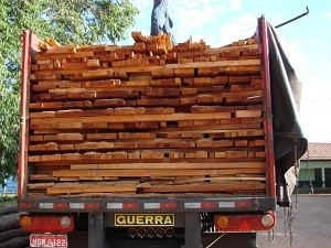 Caminhes transportando madeira de forma ilegal foram apreendidos