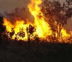 Baixa umidade do ar e calor excessivo contribuem para aumento das queimadas em Cuiab