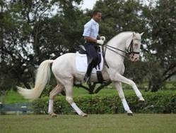 O Cavalo Lusitano Quieto montado por Elias Marinho