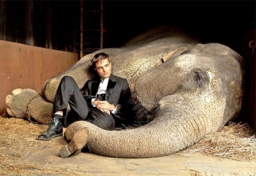 O ator Robert Pattinson e o elefante Tai em 